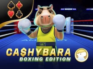 Cashybara Boxing Edition screenshot